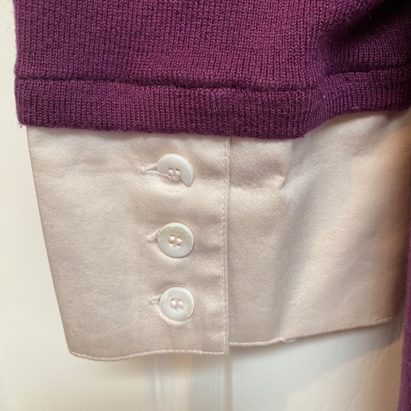 Classiques Entier Purple Shirt/Sweater - Picture 5 of 7